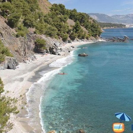 Loft Climatise "La Pinede", 50 M2, Tres Calme, 5 Mn A Pied Des Plages, Lit King Size لا سين سور مير المظهر الخارجي الصورة