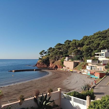 Loft Climatise "La Pinede", 50 M2, Tres Calme, 5 Mn A Pied Des Plages, Lit King Size لا سين سور مير المظهر الخارجي الصورة